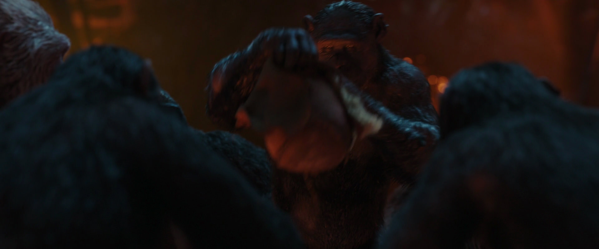 War for the Planet of the Apes (2017) movie still 1753