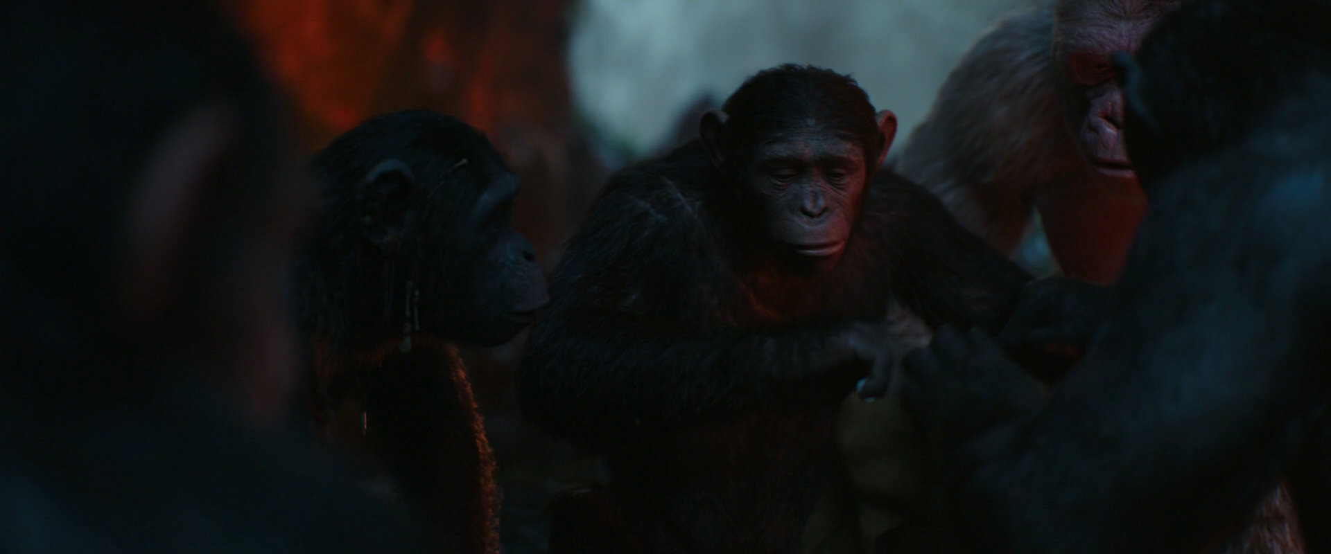 War for the Planet of the Apes (2017) screencap 1755