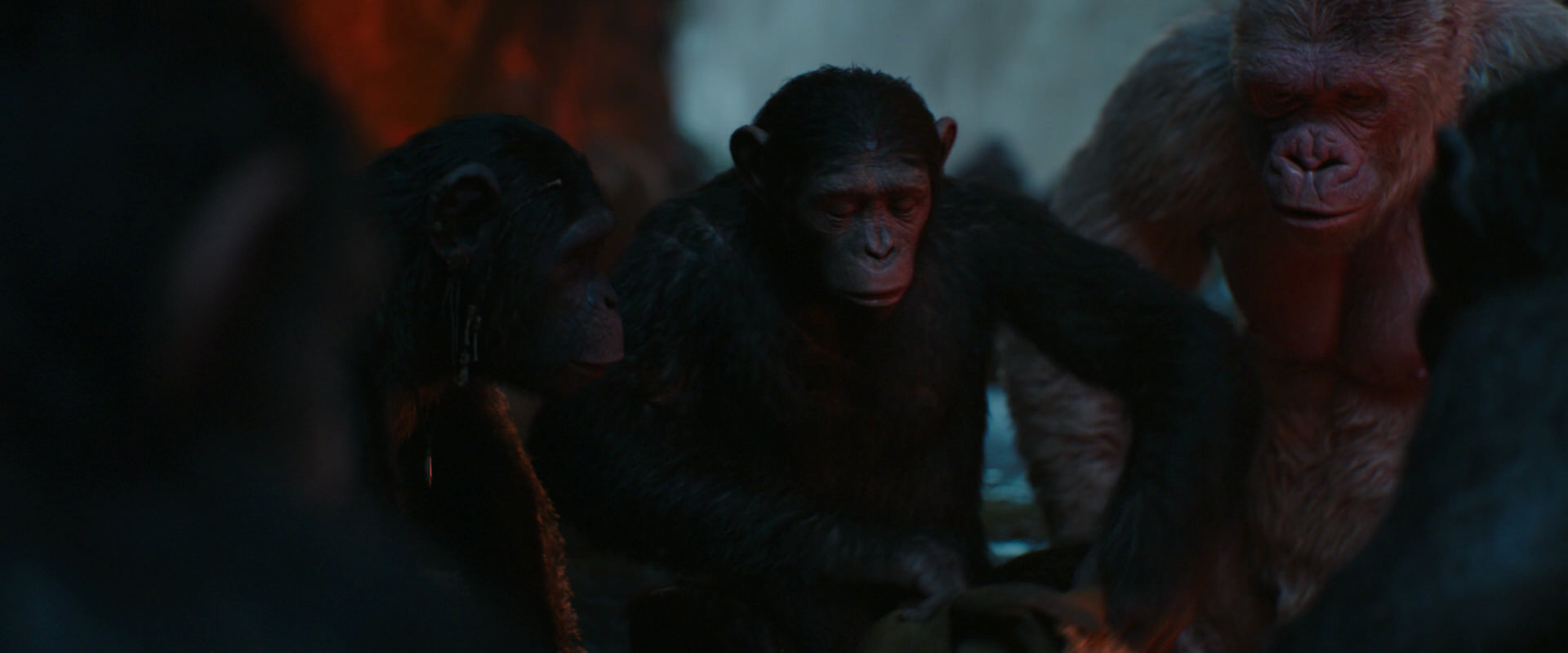 War for the Planet of the Apes (2017) movie still 1756