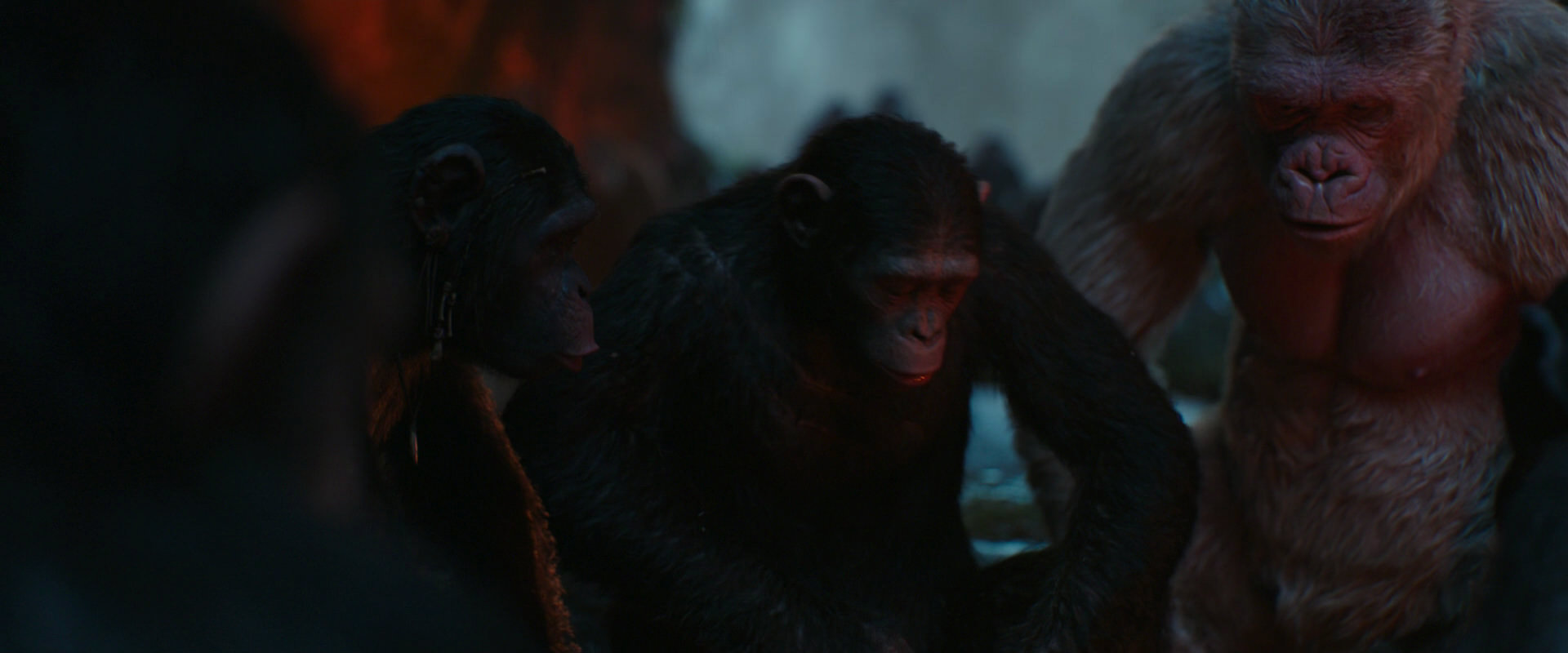 War for the Planet of the Apes (2017) HD screenshot 1757