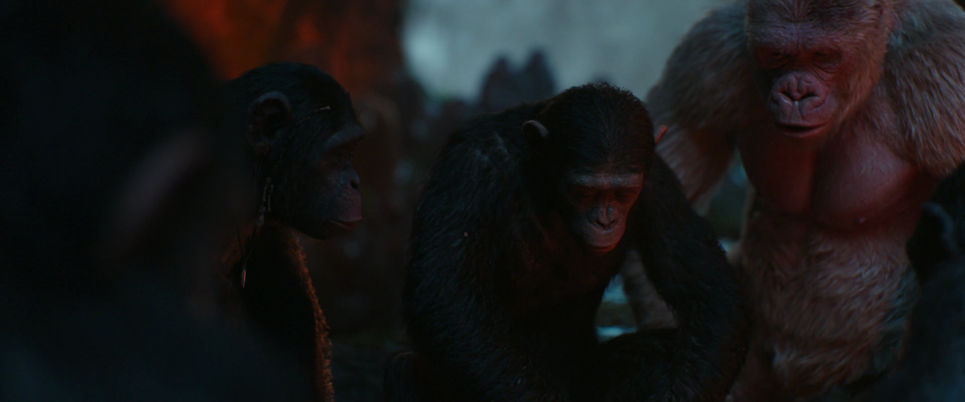 War for the Planet of the Apes (2017) movie still 1759