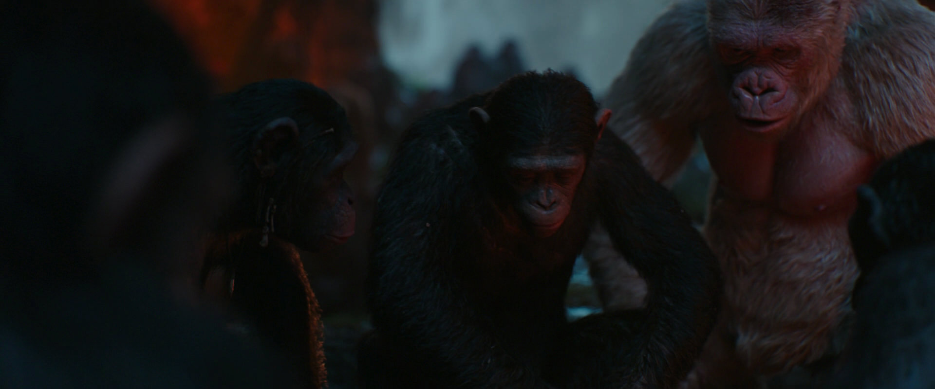 War for the Planet of the Apes (2017) HD screenshot 1760