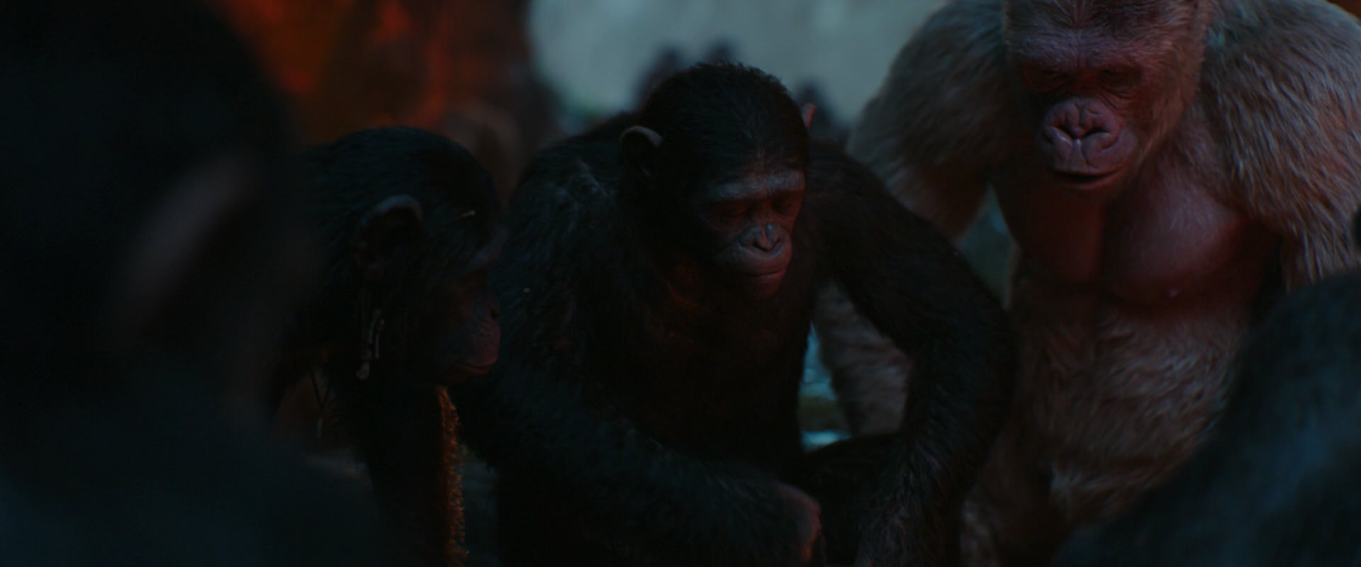 War for the Planet of the Apes (2017) screencap 1761