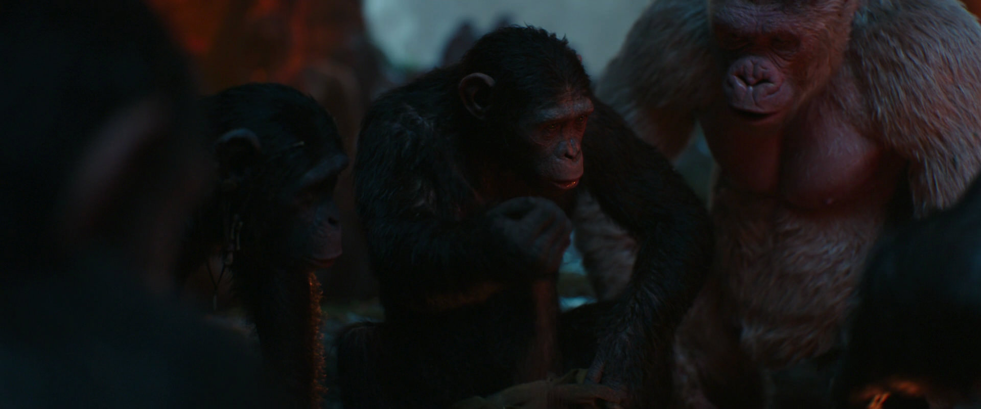 War for the Planet of the Apes (2017) movie still 1762