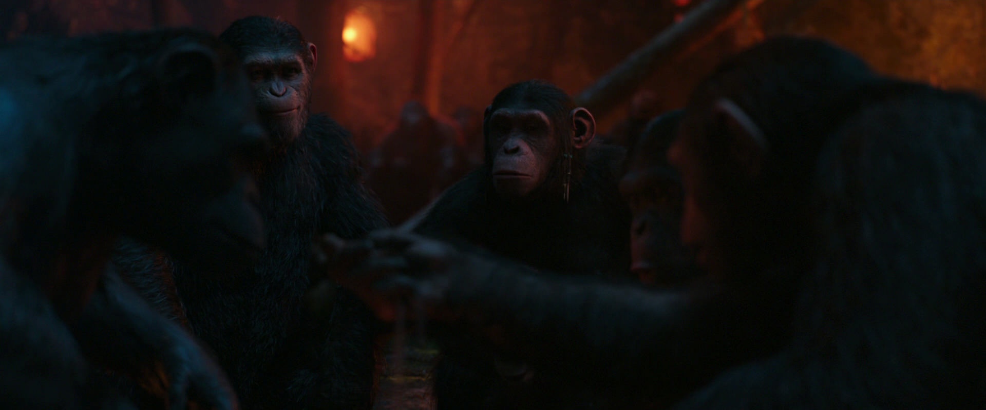 War for the Planet of the Apes (2017) movie still 1765