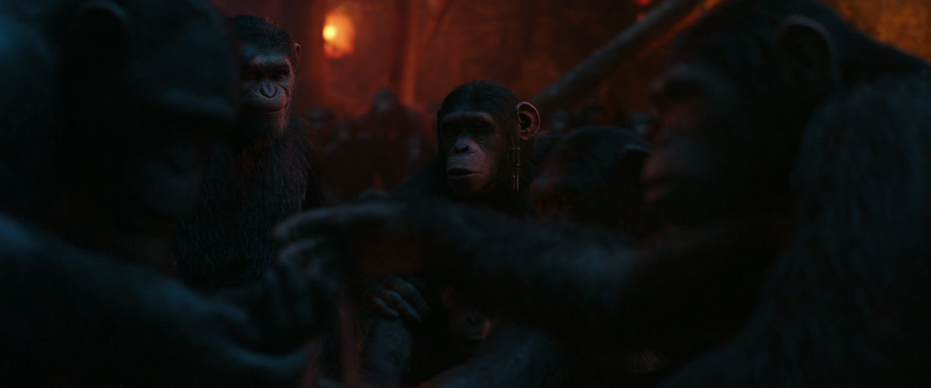 War for the Planet of the Apes (2017) movie still 1768