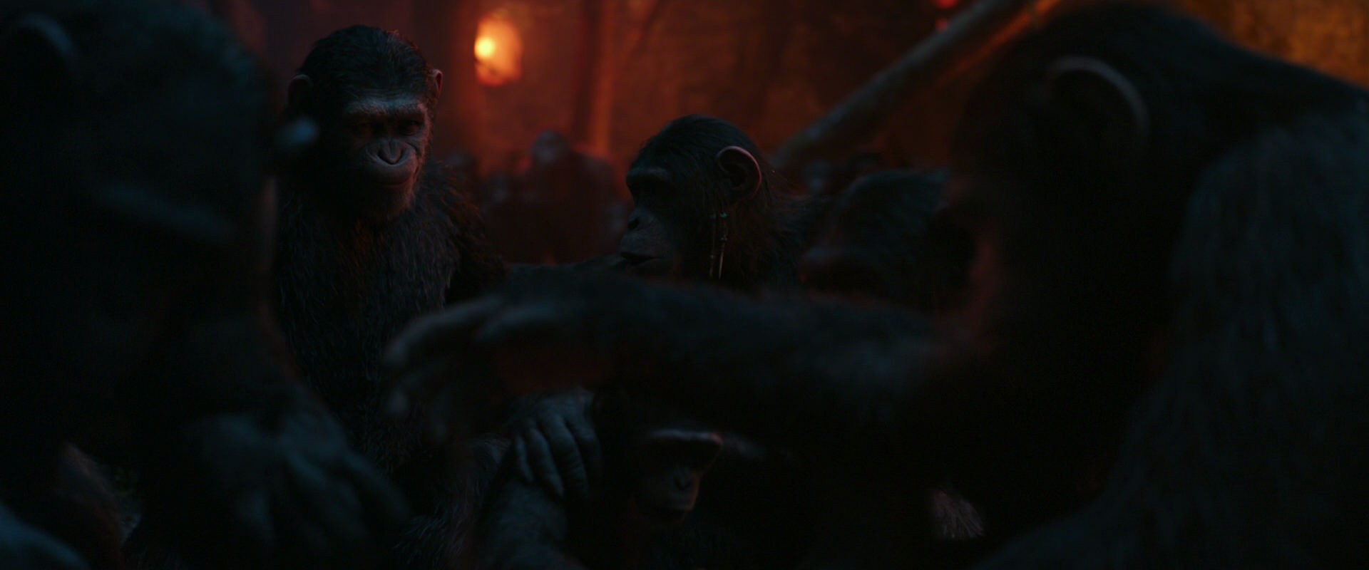 War for the Planet of the Apes (2017) HD screenshot 1769