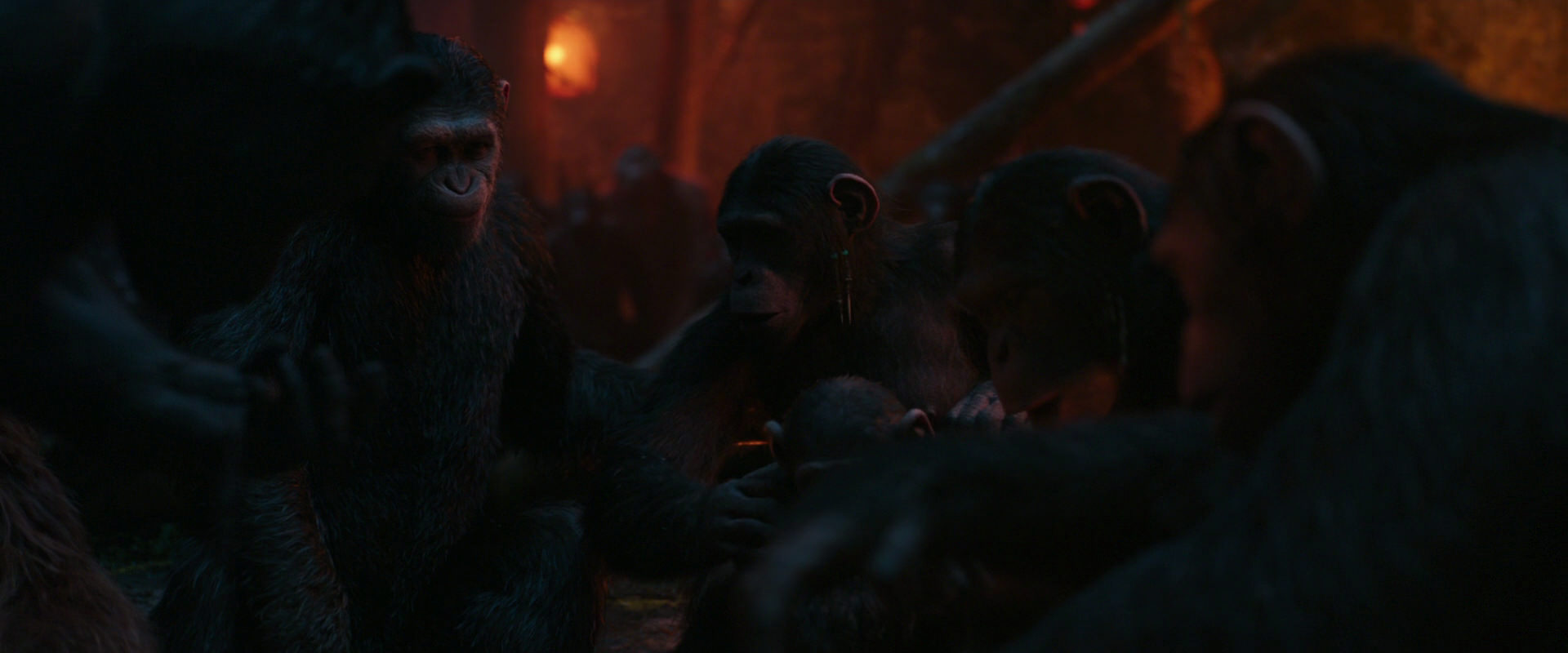 War for the Planet of the Apes (2017) movie still 1771