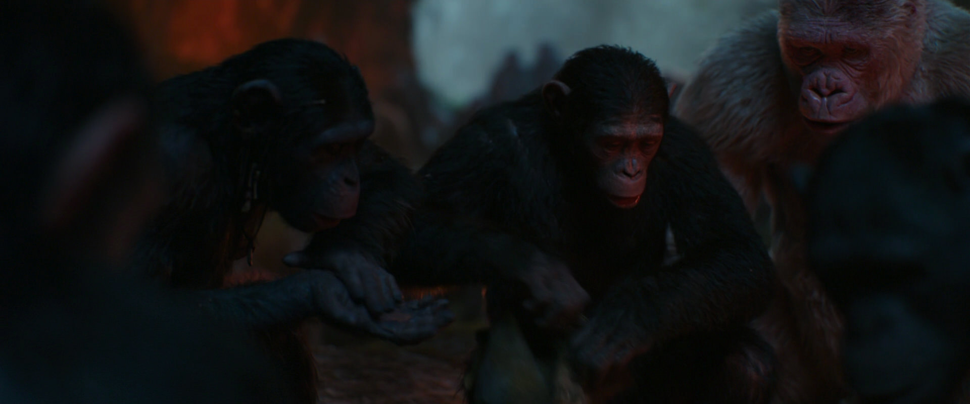 War for the Planet of the Apes (2017) HD screenshot 1772