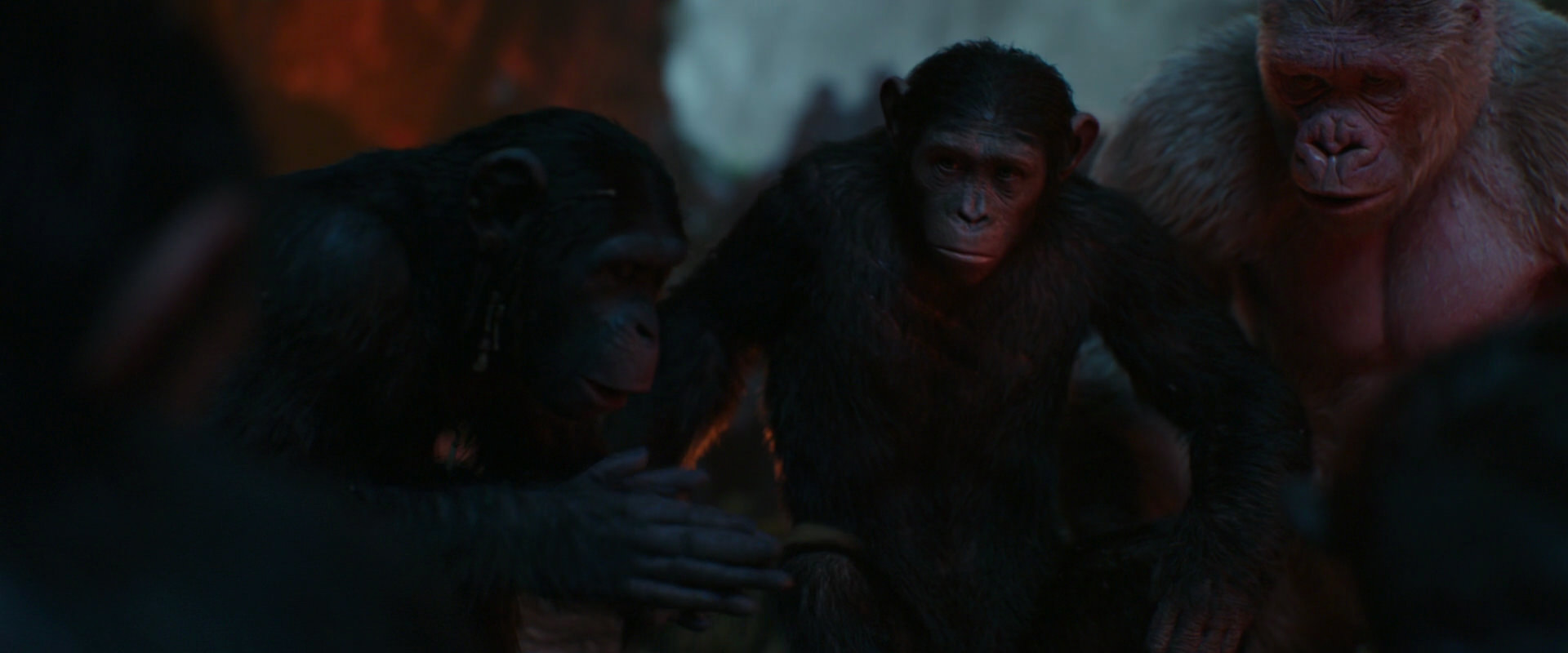 War for the Planet of the Apes (2017) screencap 1773