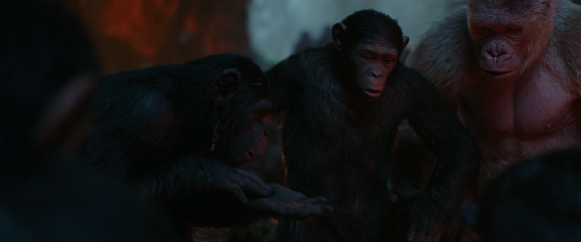War for the Planet of the Apes (2017) movie still 1774