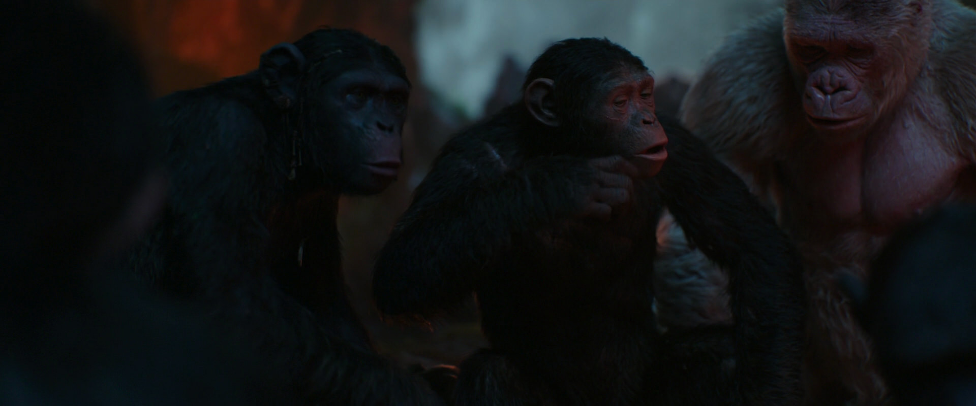 War for the Planet of the Apes (2017) movie still 1777