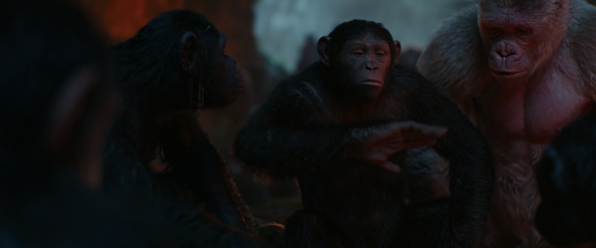 War for the Planet of the Apes (2017) movie still 1780