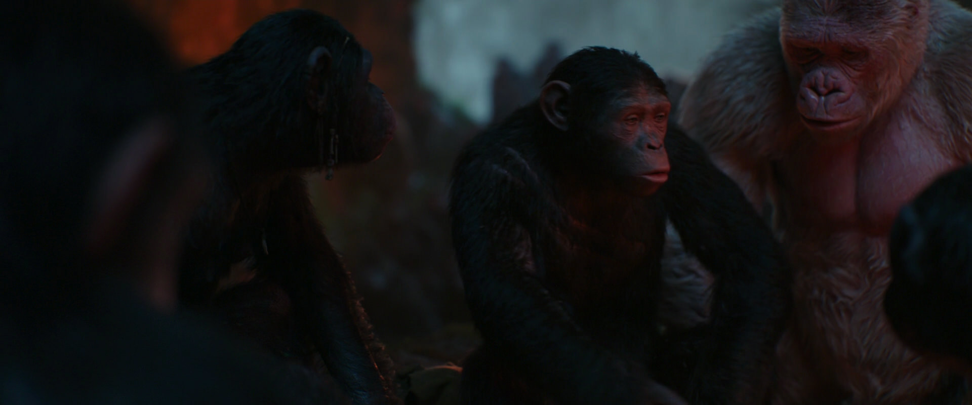 War for the Planet of the Apes (2017) HD screenshot 1781