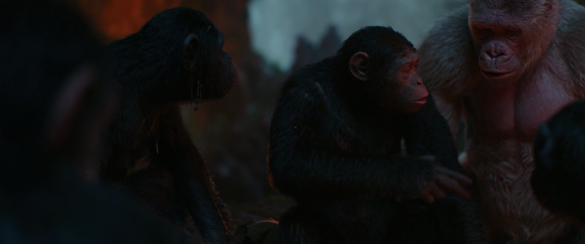 War for the Planet of the Apes (2017) screencap 1782