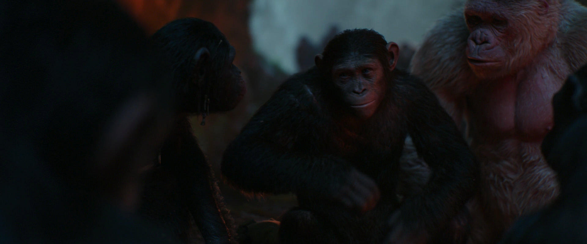 War for the Planet of the Apes (2017) screencap 1785