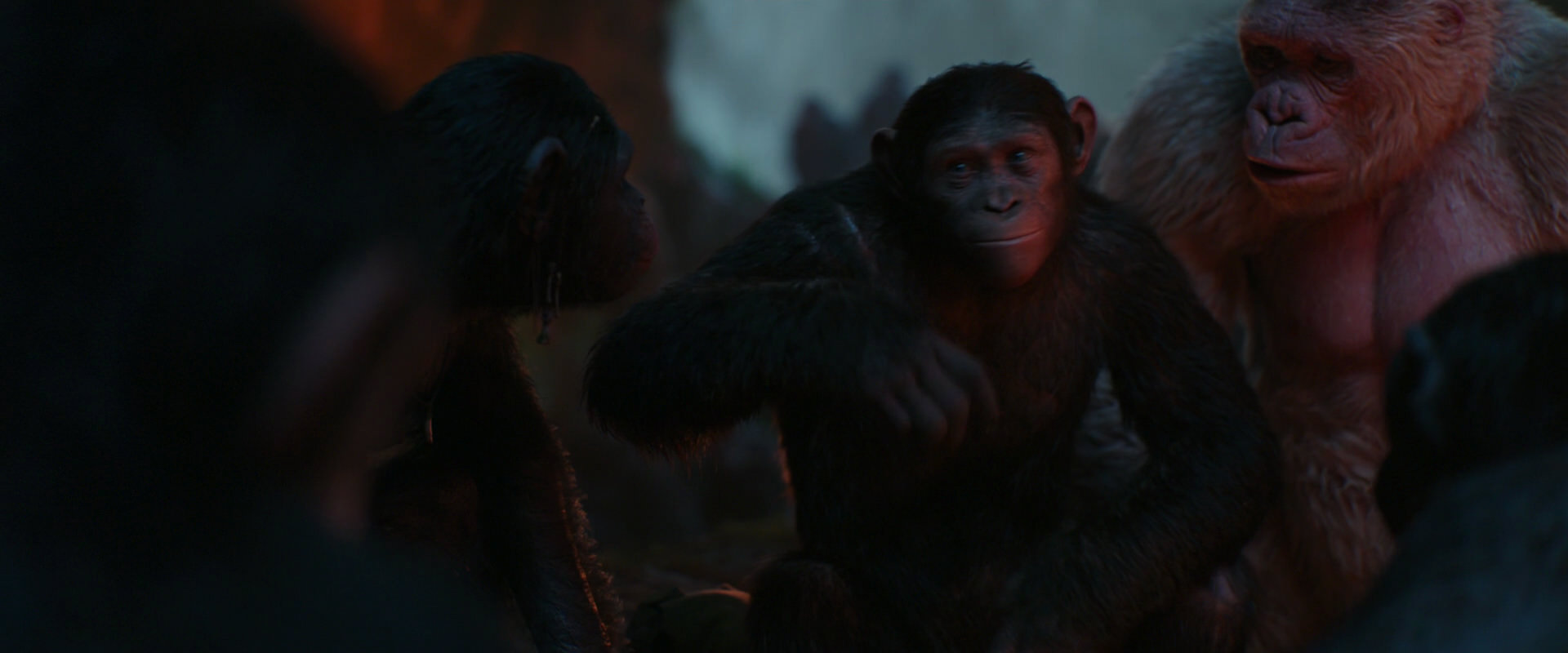 War for the Planet of the Apes (2017) movie still 1786