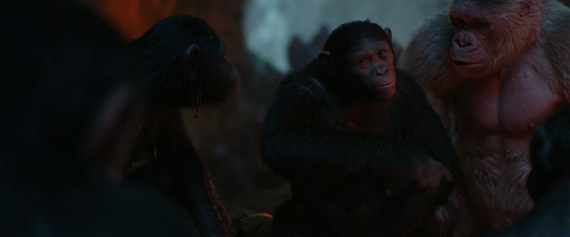 War for the Planet of the Apes (2017) HD screenshot 1787