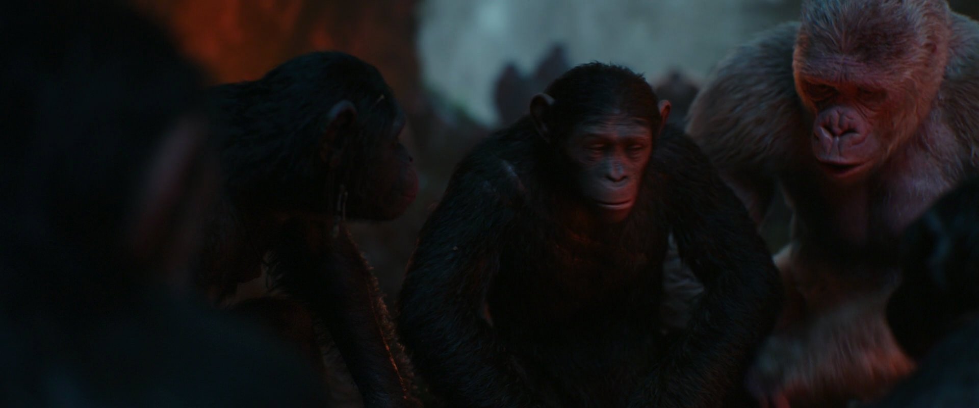 War for the Planet of the Apes (2017) movie still 1789