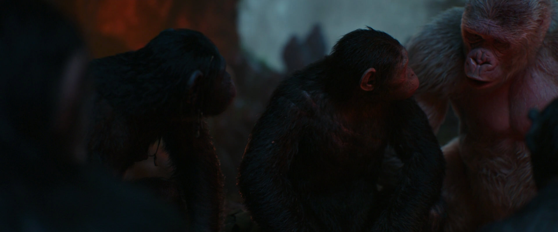 War for the Planet of the Apes (2017) screencap 1791