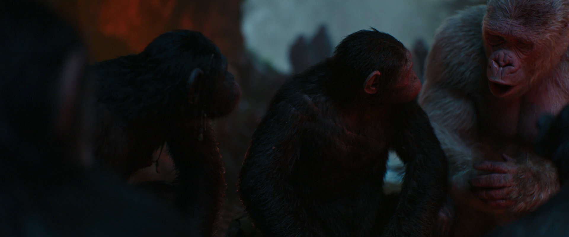 War for the Planet of the Apes (2017) movie still 1792