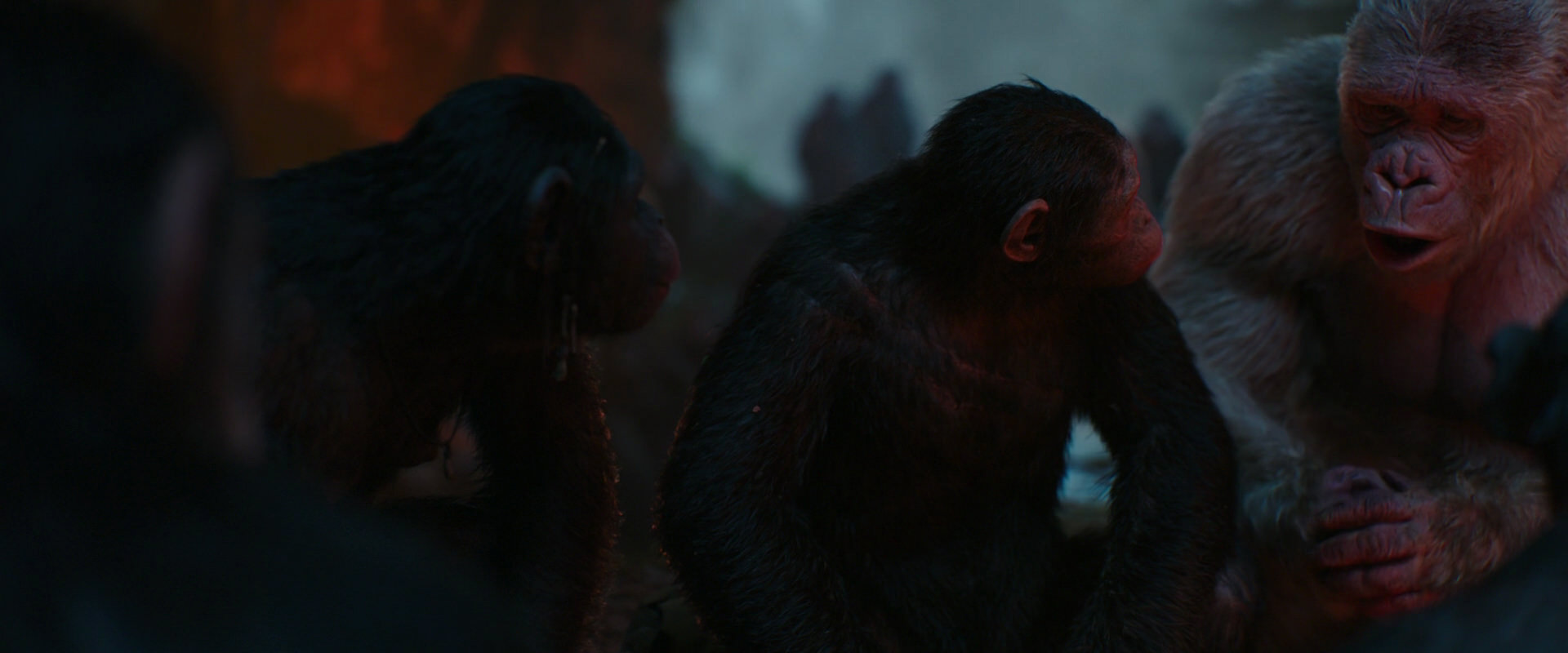 War for the Planet of the Apes (2017) HD screenshot 1793