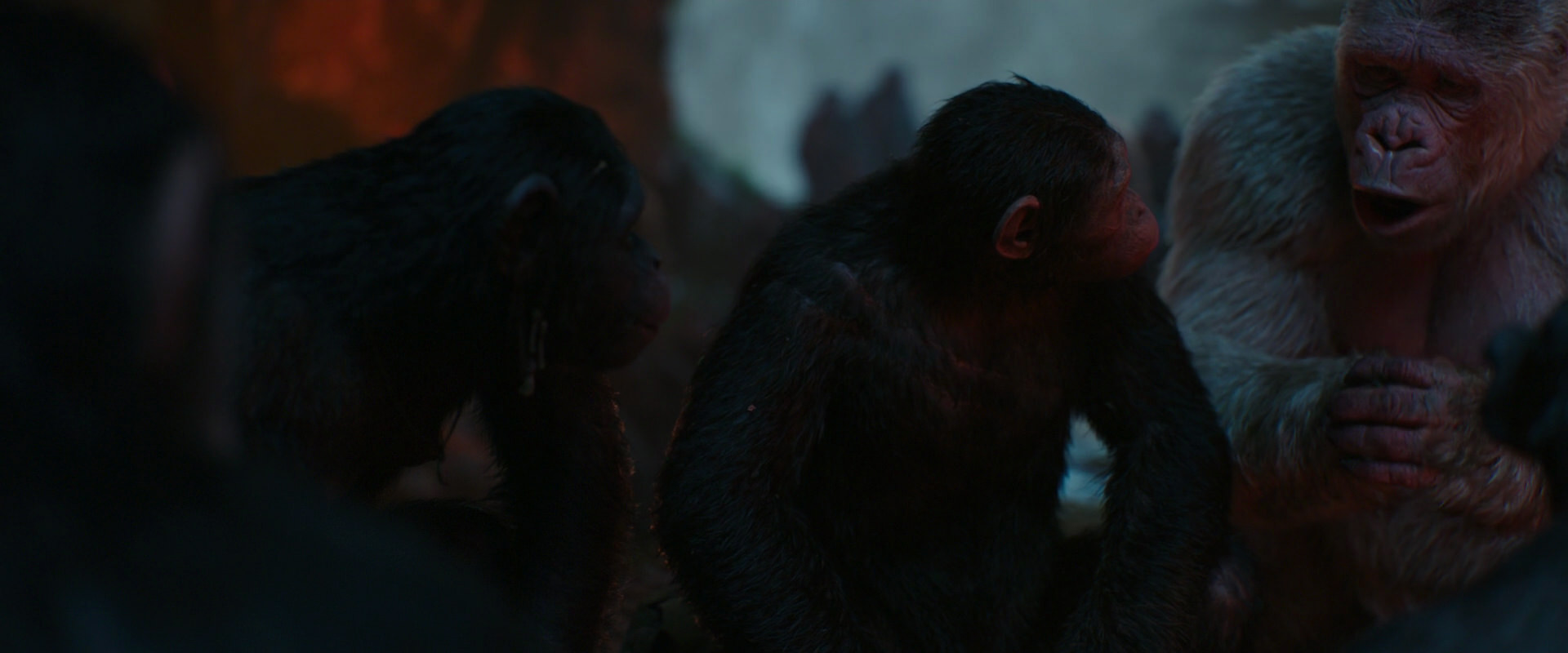 War for the Planet of the Apes (2017) screencap 1794