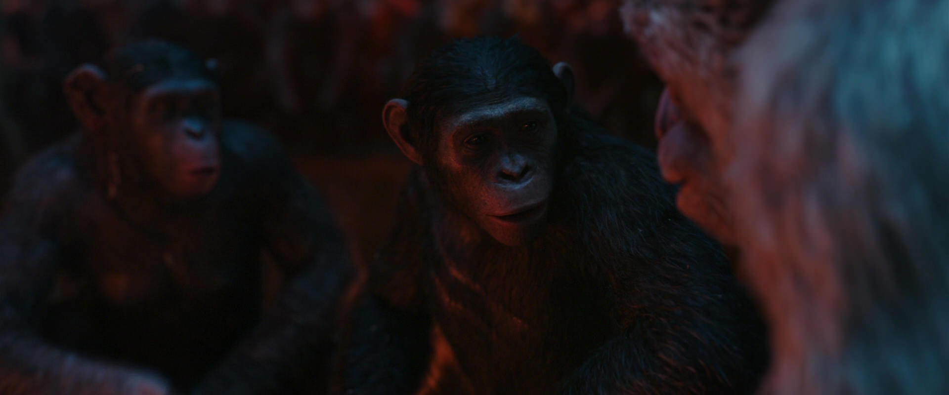 War for the Planet of the Apes (2017) movie still 1795