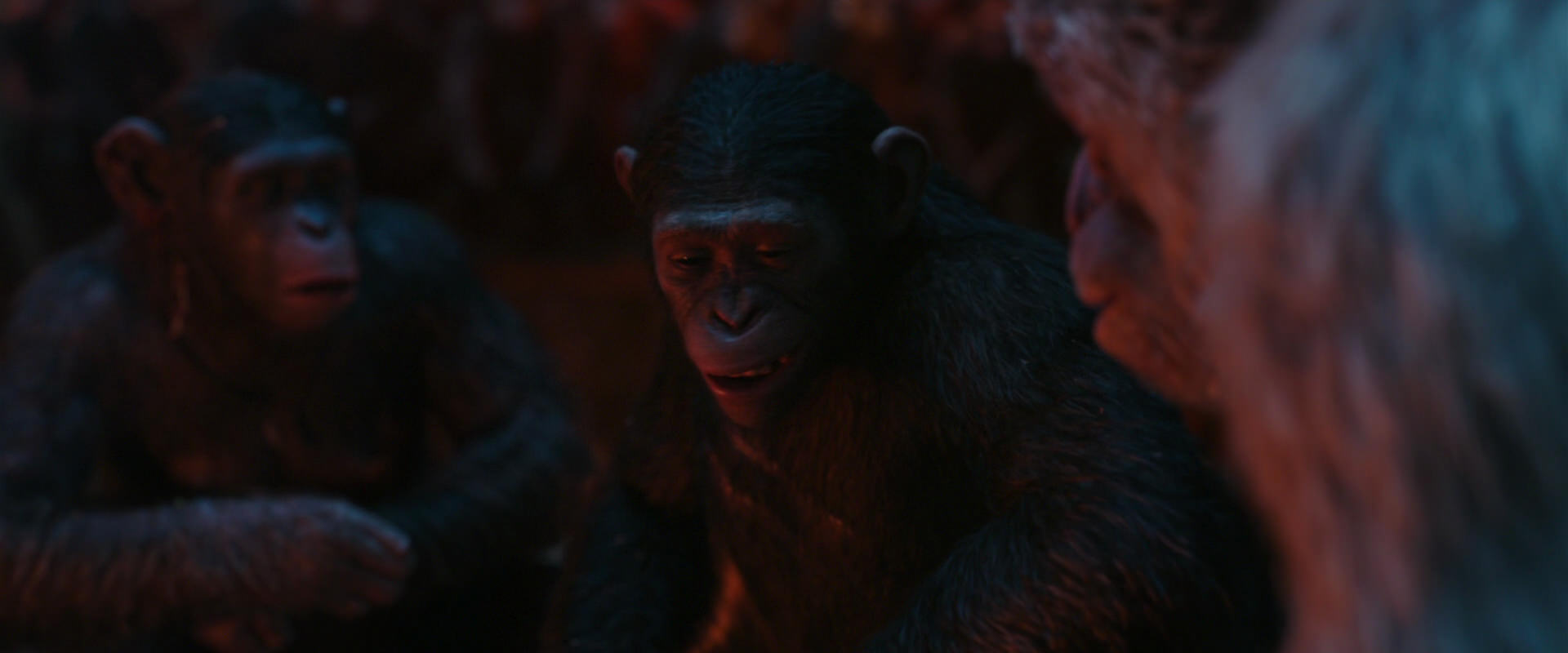 War for the Planet of the Apes (2017) HD screenshot 1796