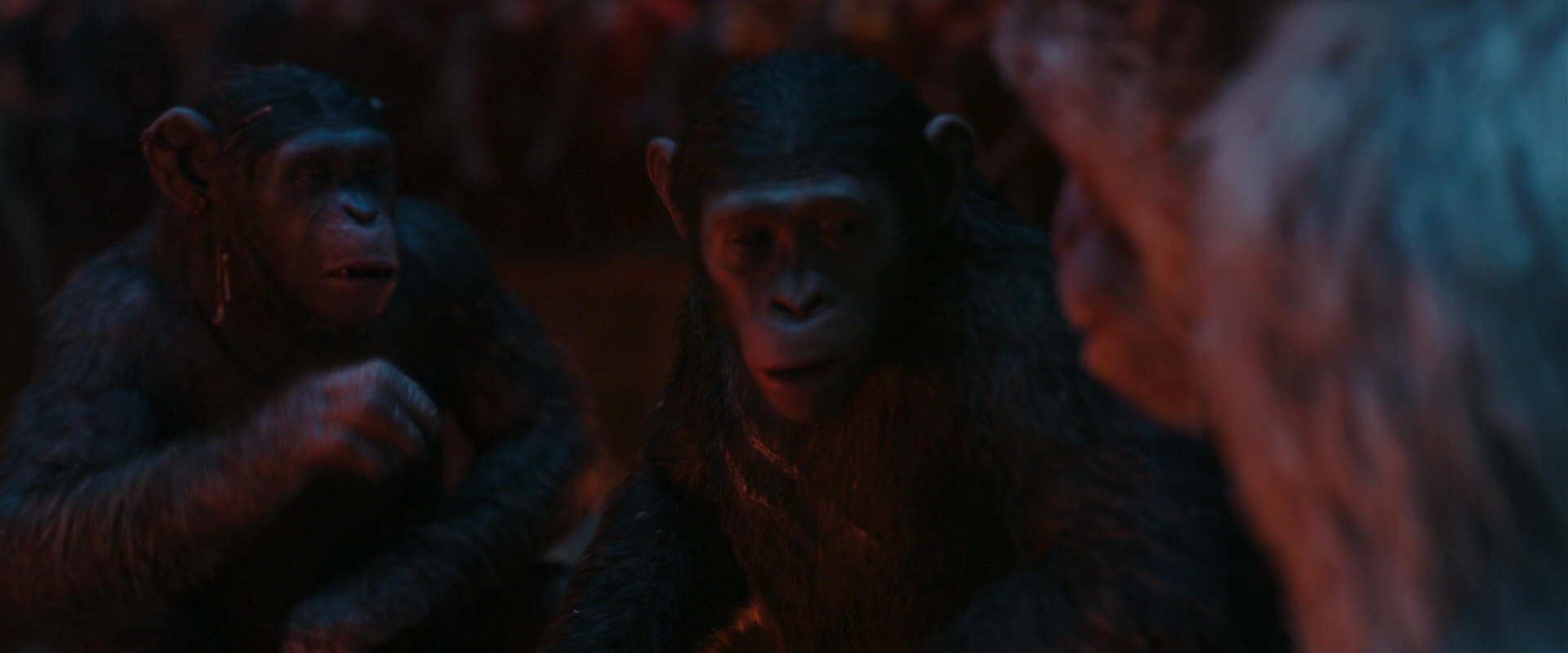War for the Planet of the Apes (2017) screencap 1797