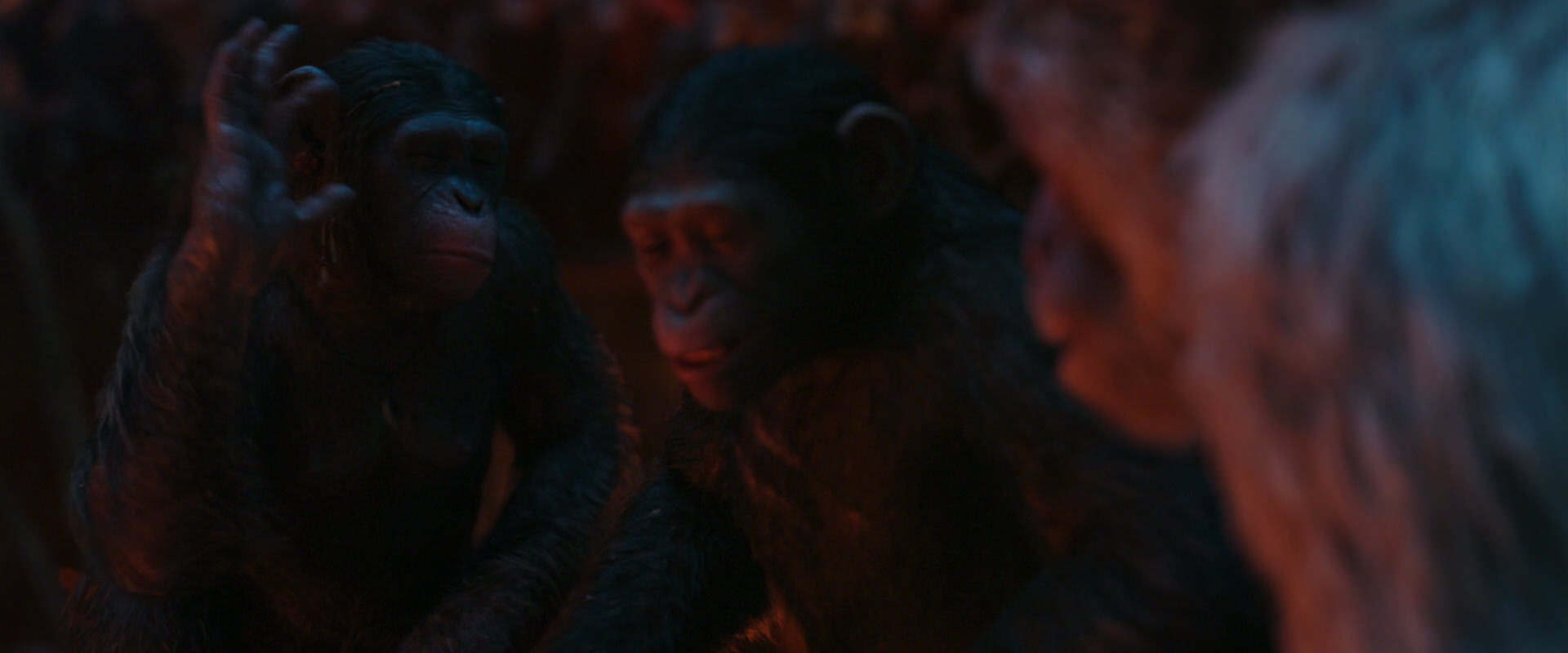 War for the Planet of the Apes (2017) movie still 1798