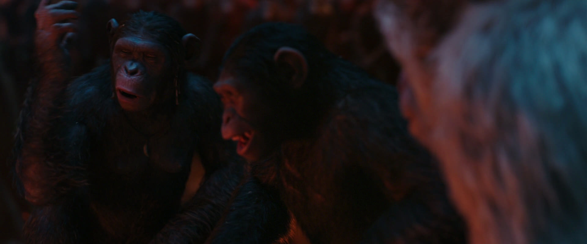 War for the Planet of the Apes (2017) HD screenshot 1799