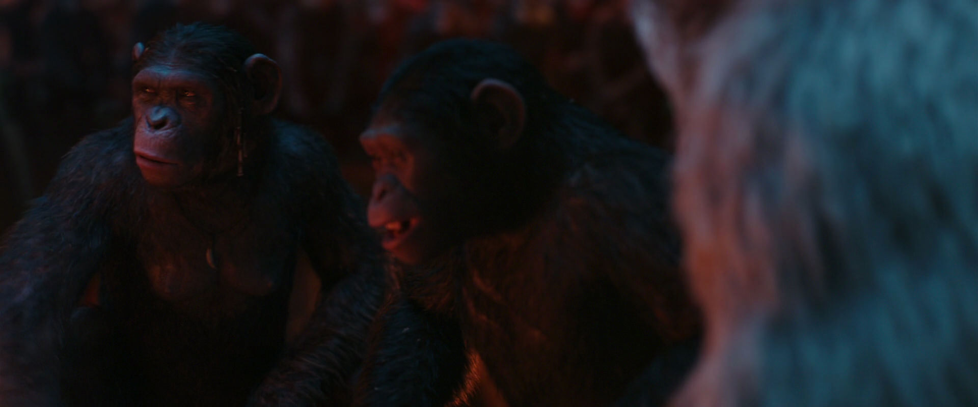 War for the Planet of the Apes (2017) screencap 1800