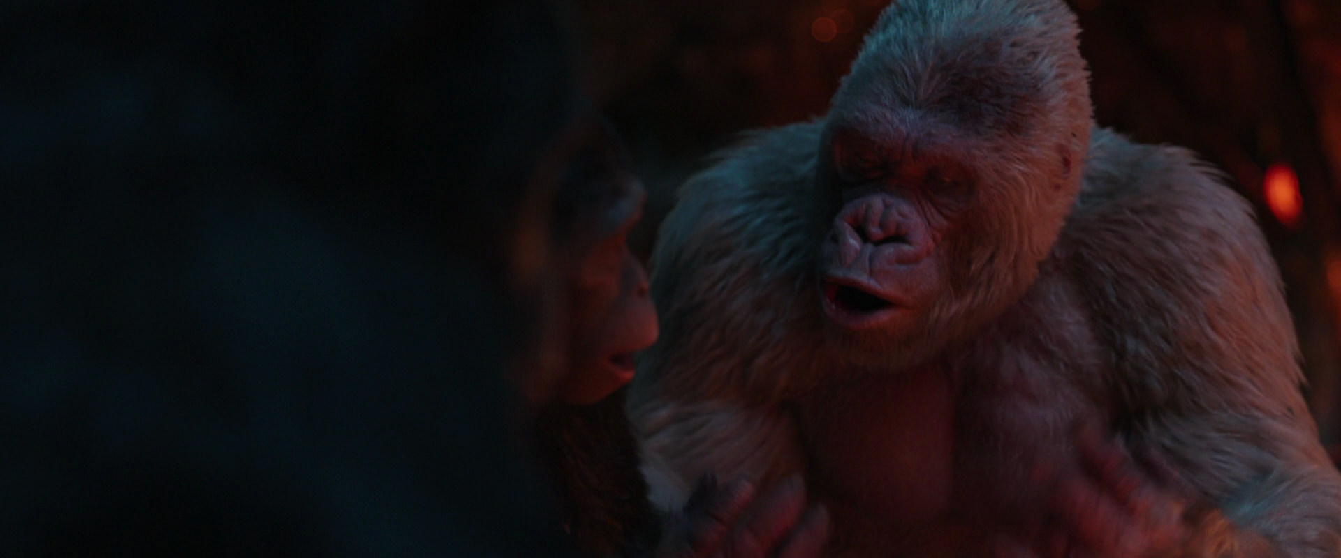 War for the Planet of the Apes (2017) movie still 1801