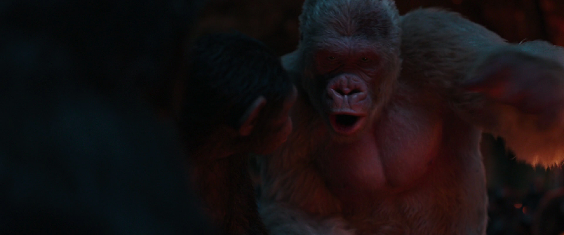 War for the Planet of the Apes (2017) movie still 1804