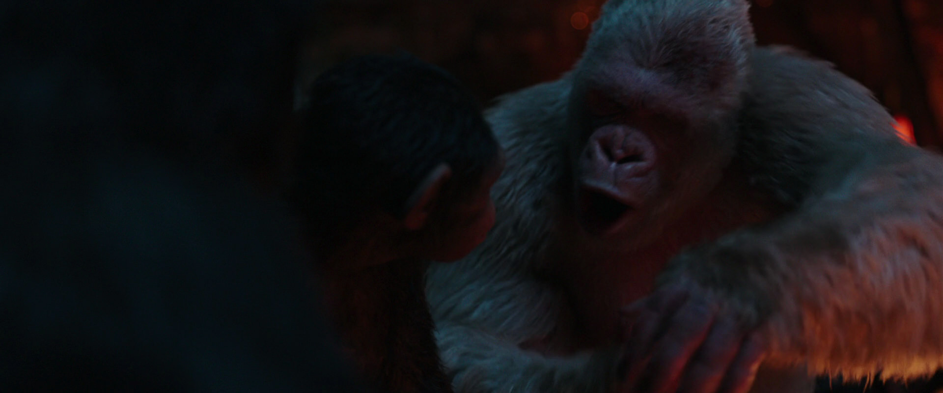 War for the Planet of the Apes (2017) screencap 1806