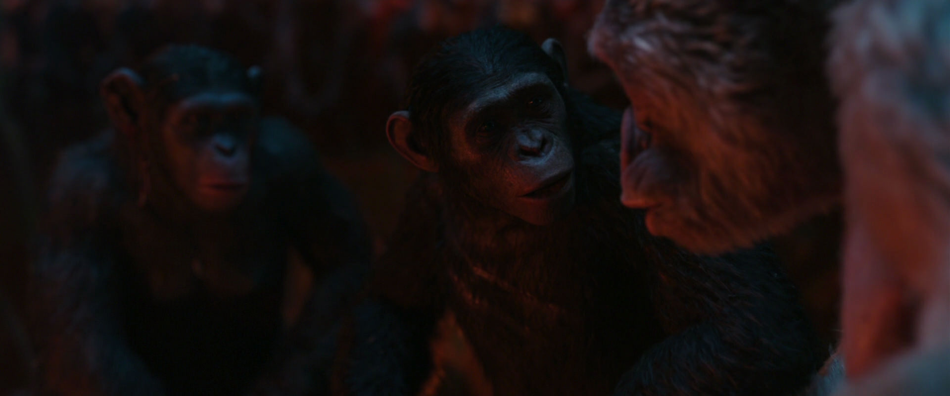 War for the Planet of the Apes (2017) movie still 1807
