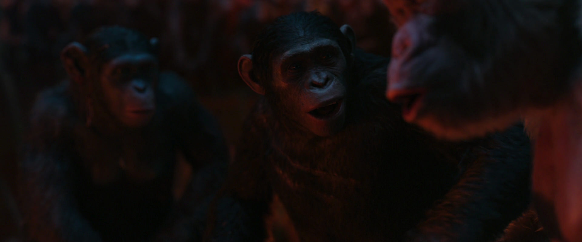 War for the Planet of the Apes (2017) HD screenshot 1808