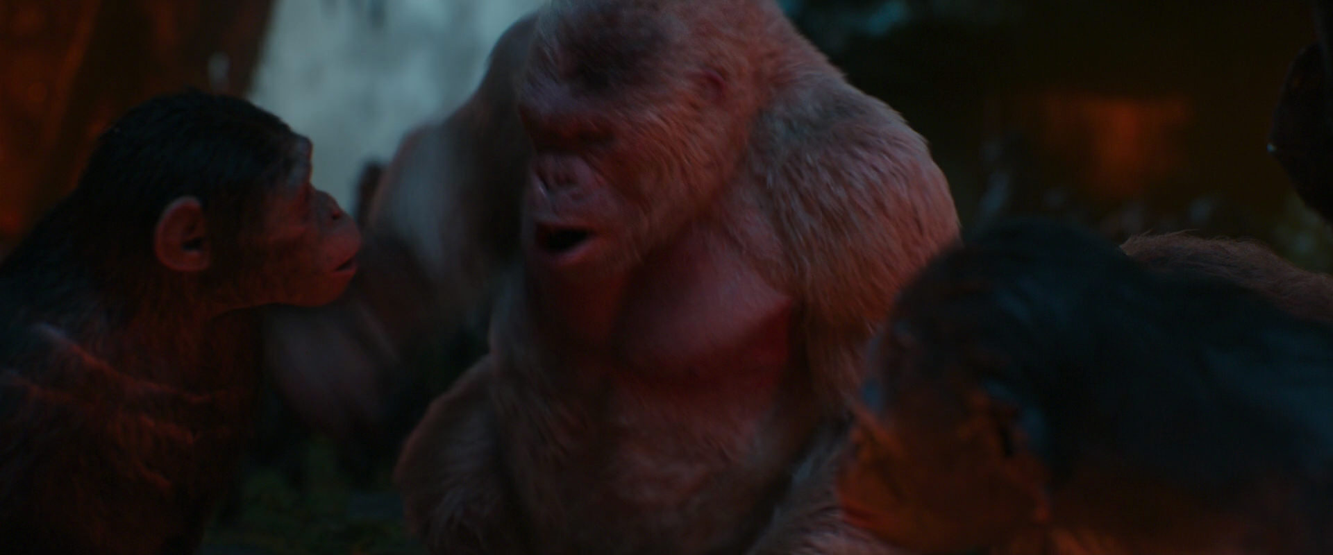 War for the Planet of the Apes (2017) screencap 1809