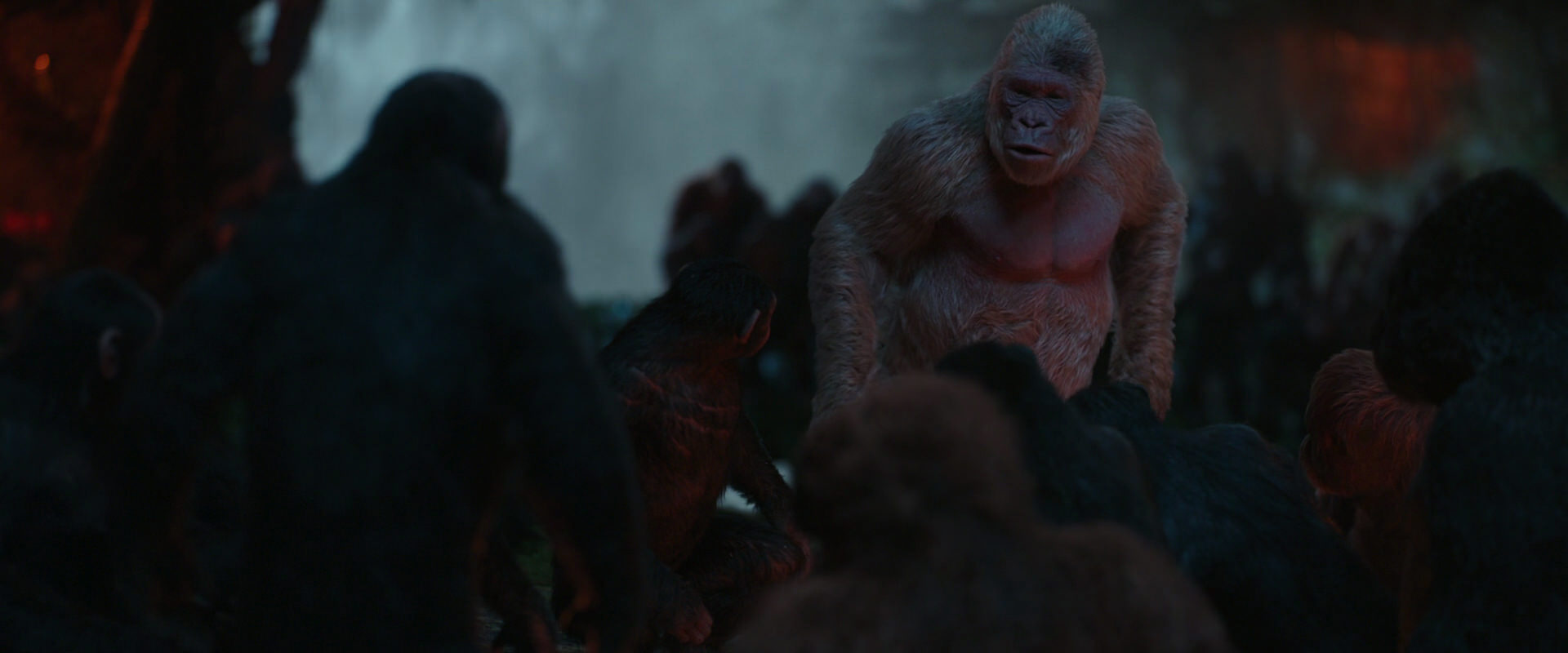 War for the Planet of the Apes (2017) movie still 1816