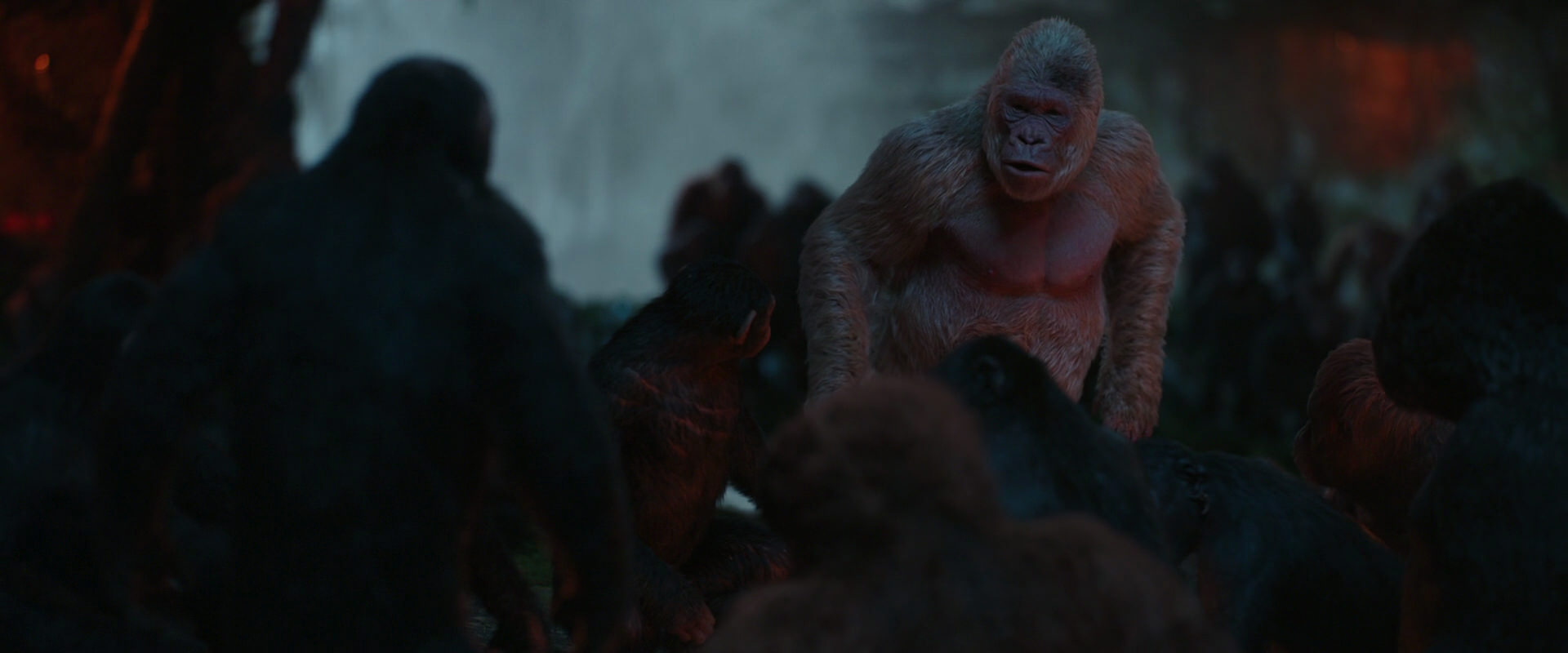 War for the Planet of the Apes (2017) HD screenshot 1817