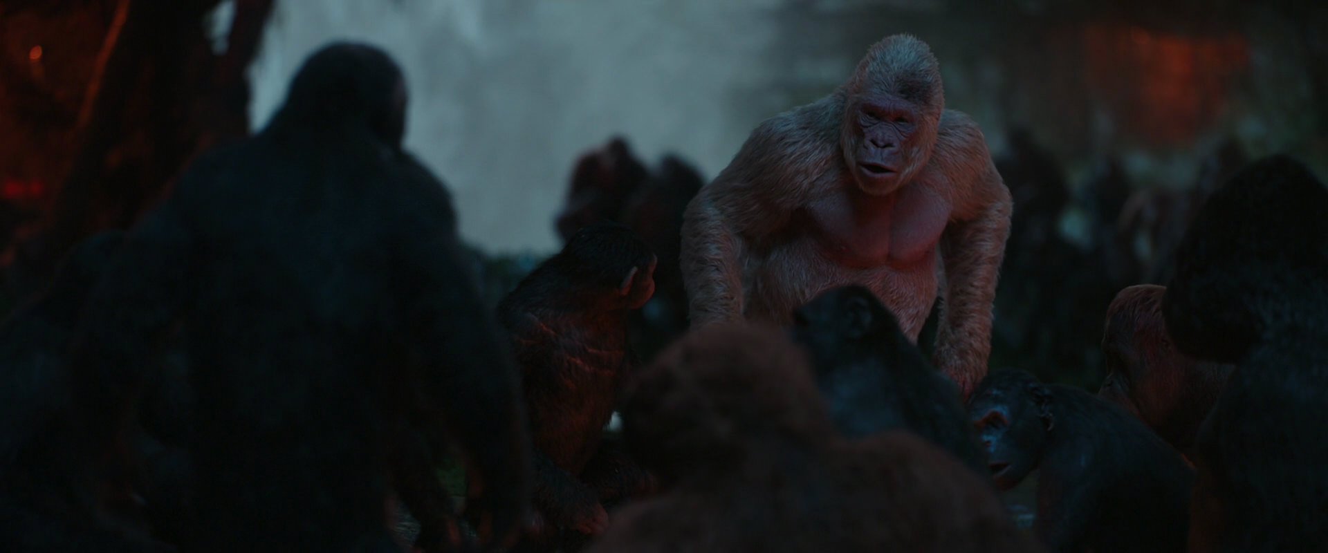 War for the Planet of the Apes (2017) screencap 1818