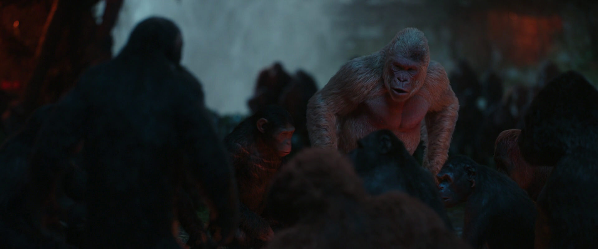 War for the Planet of the Apes (2017) movie still 1819