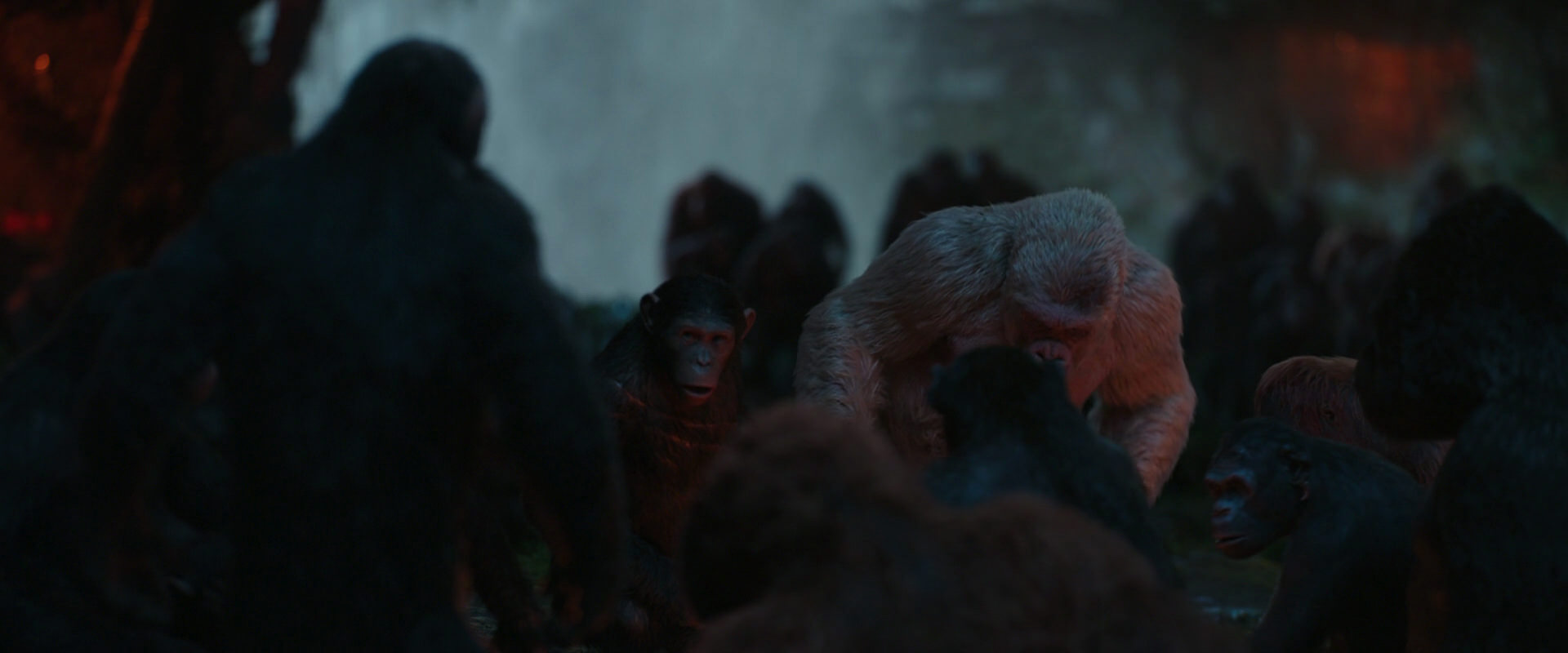 War for the Planet of the Apes (2017) screencap 1821