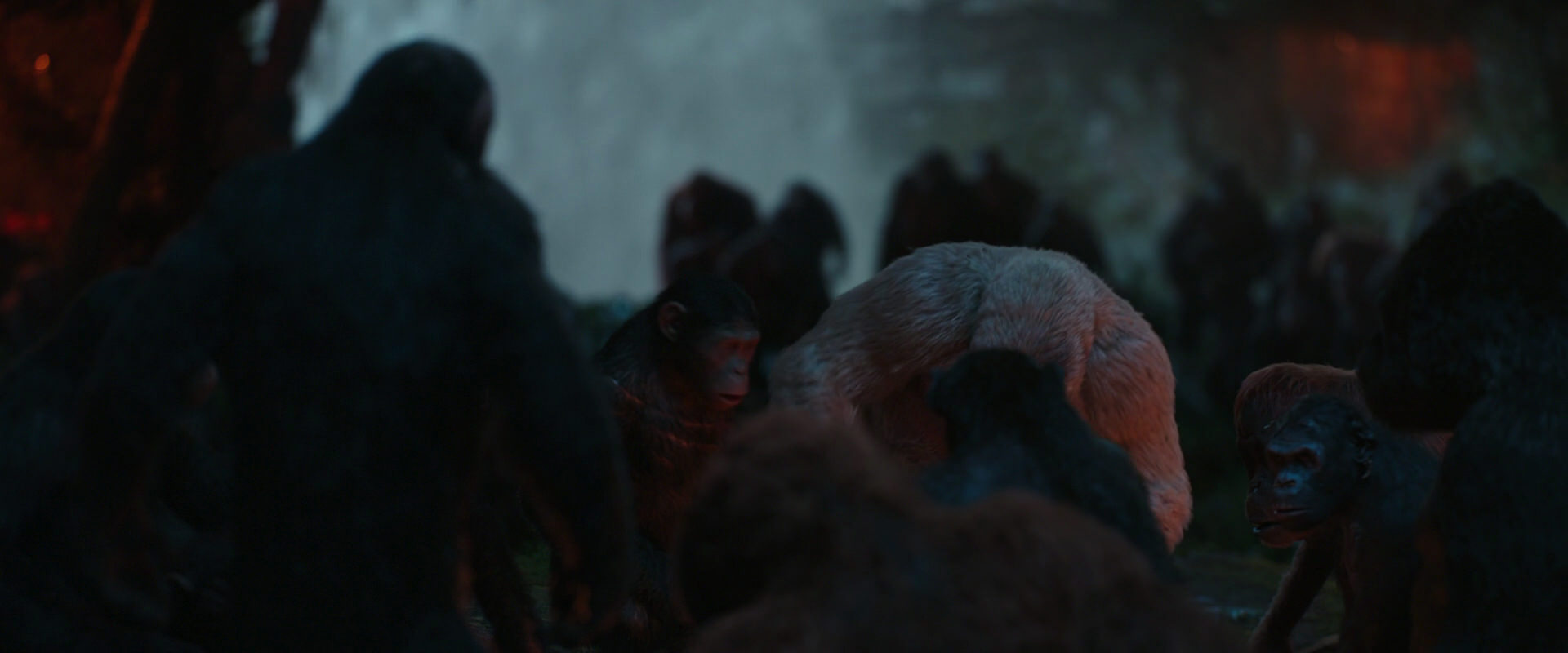 War for the Planet of the Apes (2017) movie still 1822