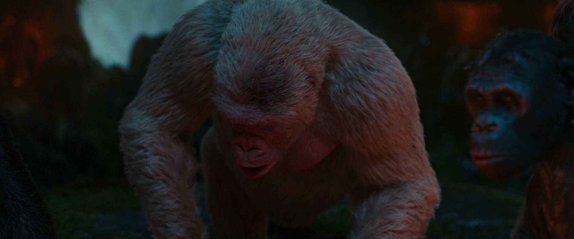War for the Planet of the Apes (2017) HD screenshot 1823