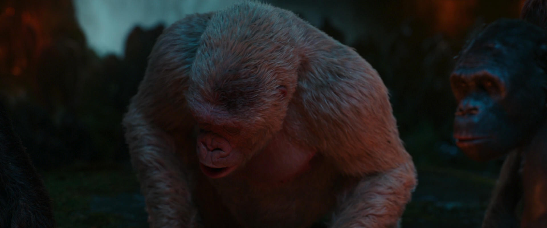 War for the Planet of the Apes (2017) screencap 1824