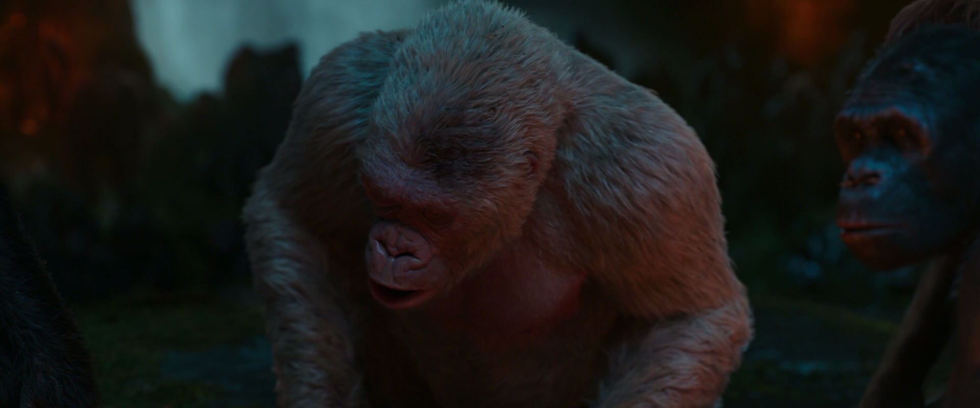 War for the Planet of the Apes (2017) movie still 1825