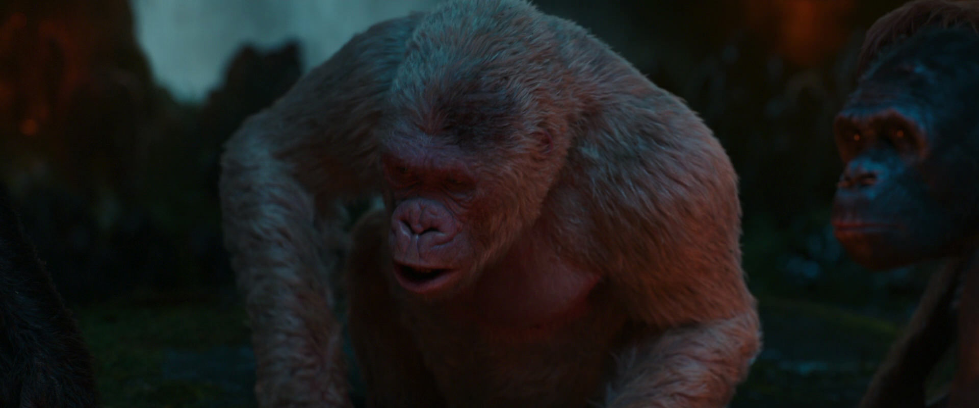 War for the Planet of the Apes (2017) HD screenshot 1826