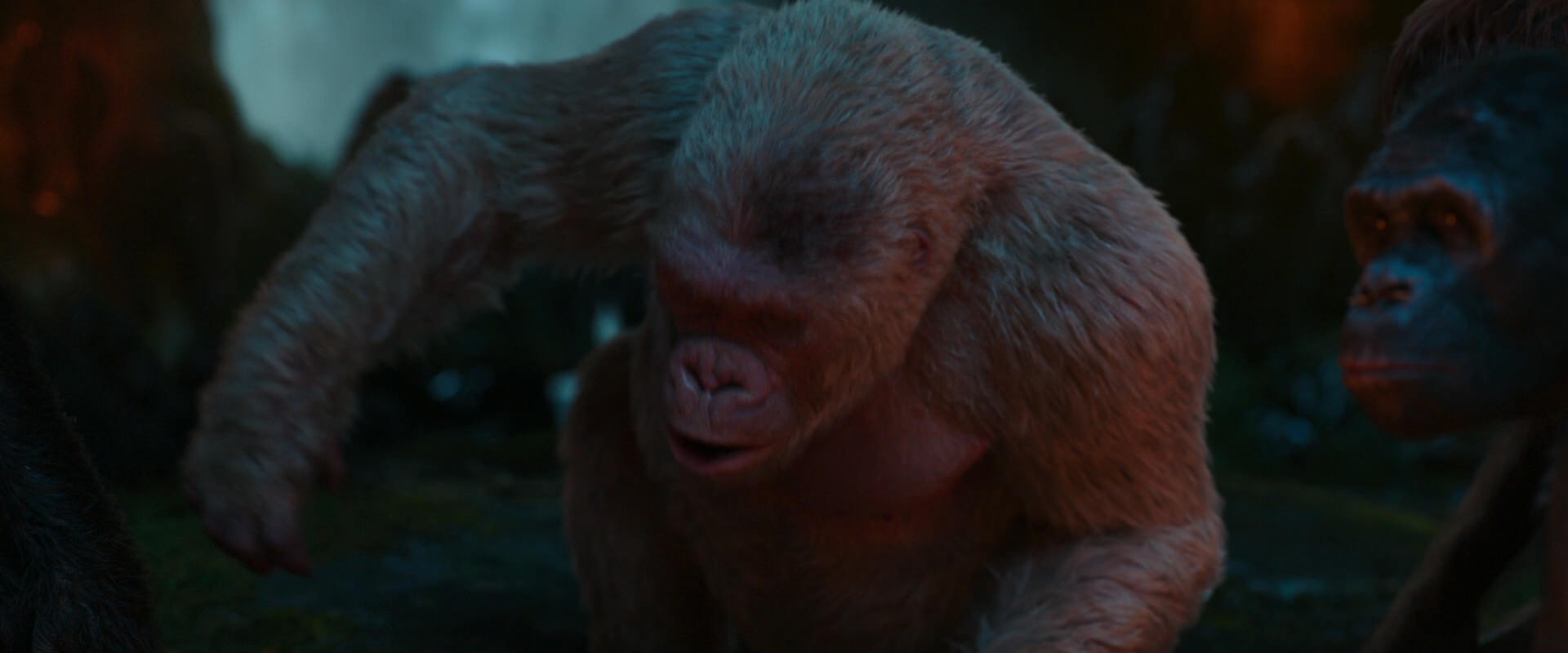 War for the Planet of the Apes (2017) screencap 1827
